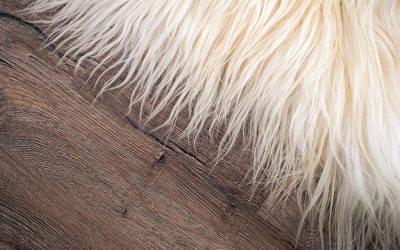 Le tapis en fourrure : un élément esthétique et pratique