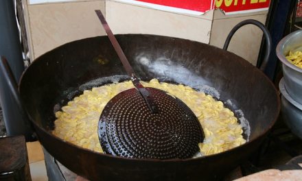 Tout savoir sur le wok électrique