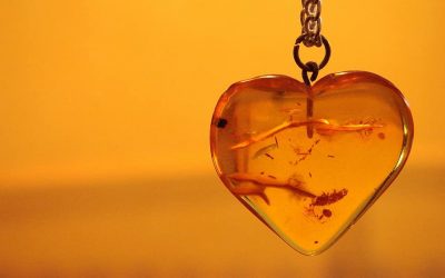 L’ambre, une pierre esthétique aux propriétés miraculeuses