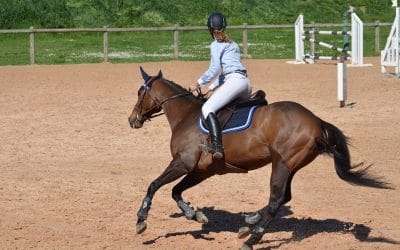 Les raisons d’acheter des bottes en cuir pour l’équitation