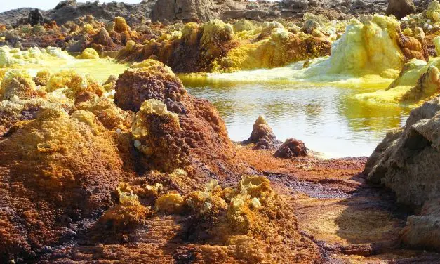 Quand la nature se donne en spectacle dans la belle Éthiopie