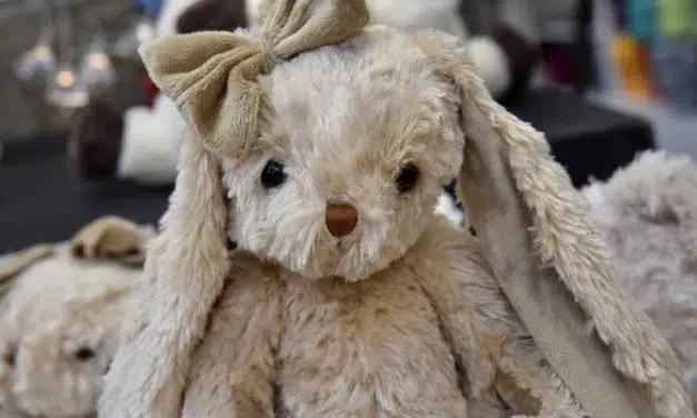 Pourquoi le doudou est important pour bébé ?