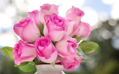 Comment conserver un bouquet de roses ?