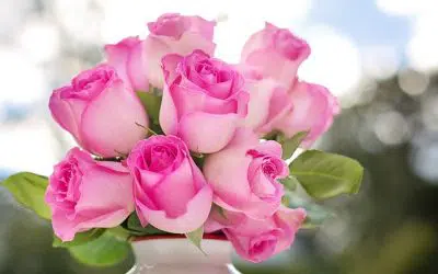 Comment conserver un bouquet de roses ?